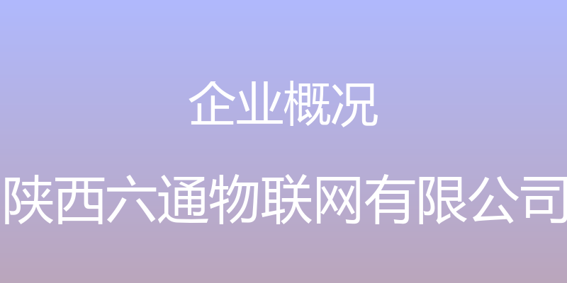 企业概况 - 陕西六通物联网有限公司